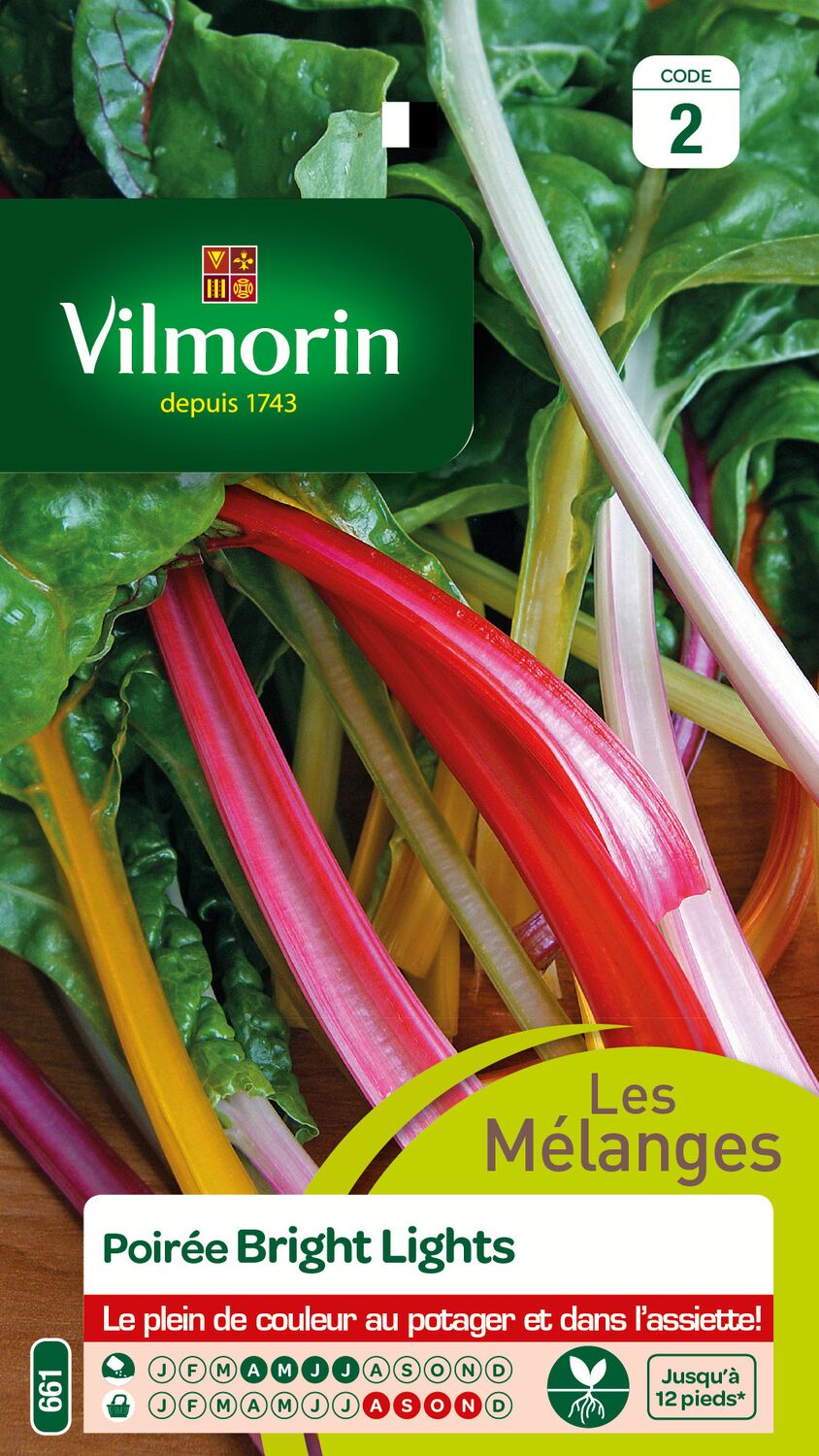 Graines Poirée Bright Lights - VILMORIN