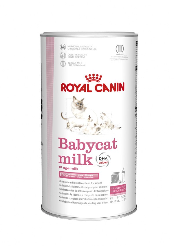 Lait Sevrage Chaton Babycat Milk 300gr - ROYAL CANIN