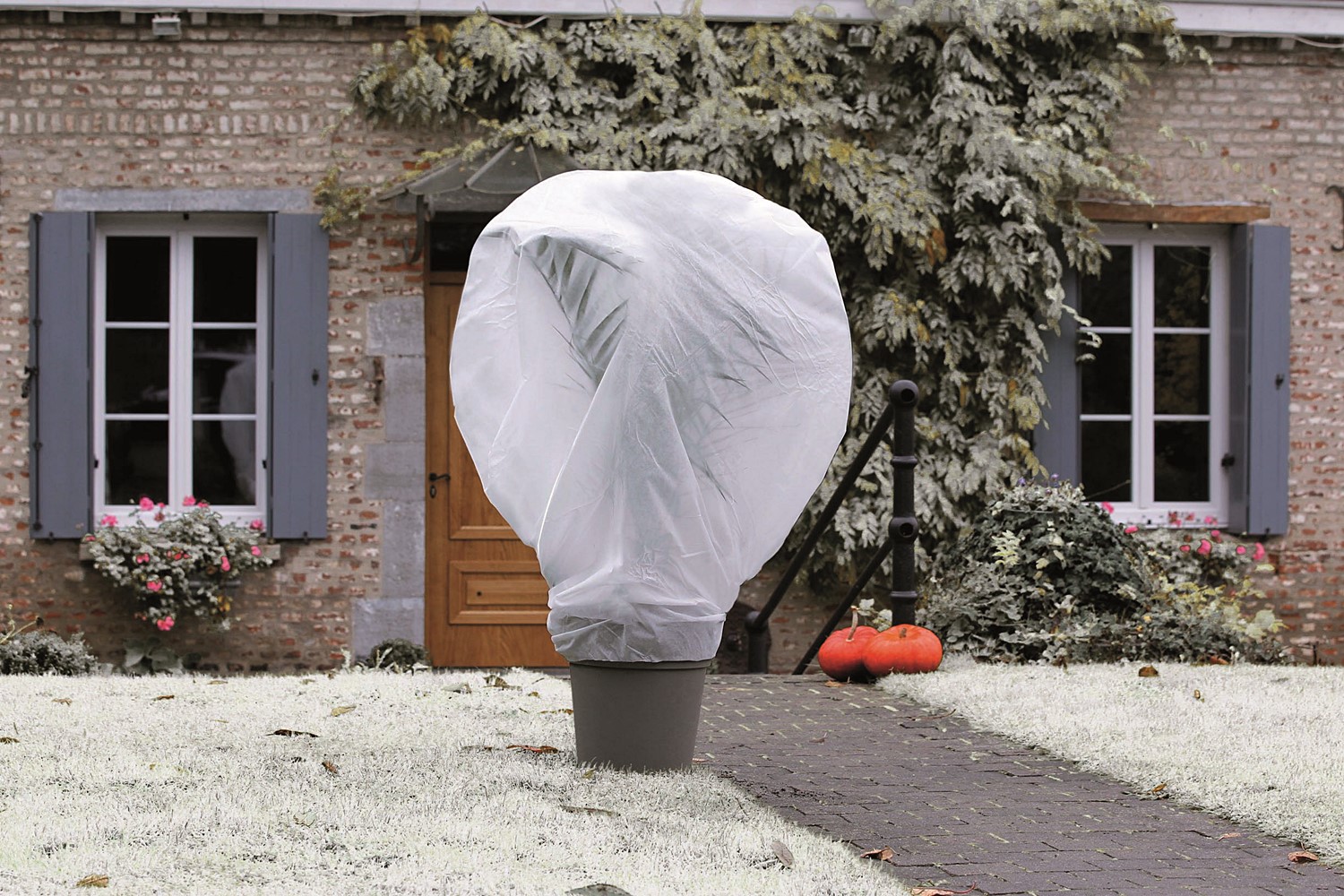 VOILE DE PROTECTION WINTERTEx BLANC 1x10m (x2)