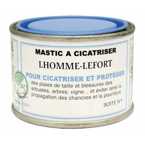 Mastic à cicatriser 75 g