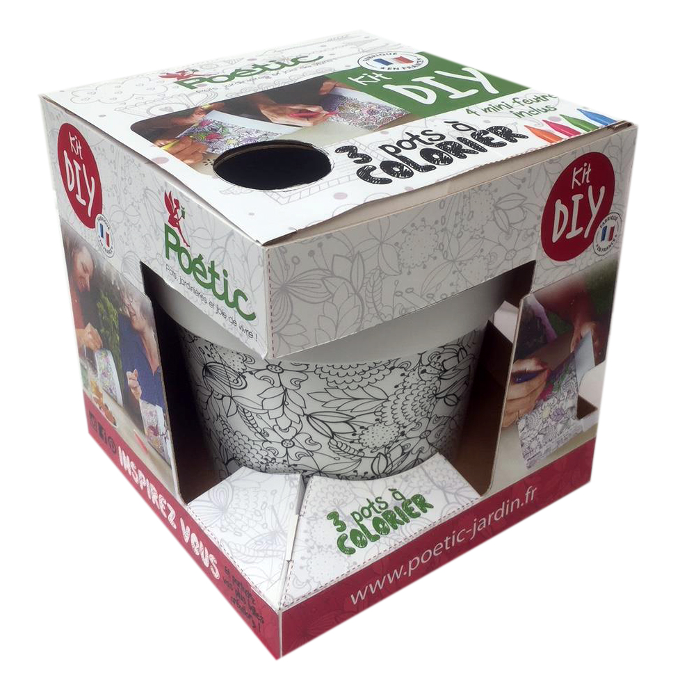 KIT POT CAMELEON 16 A COLORIER POETIC