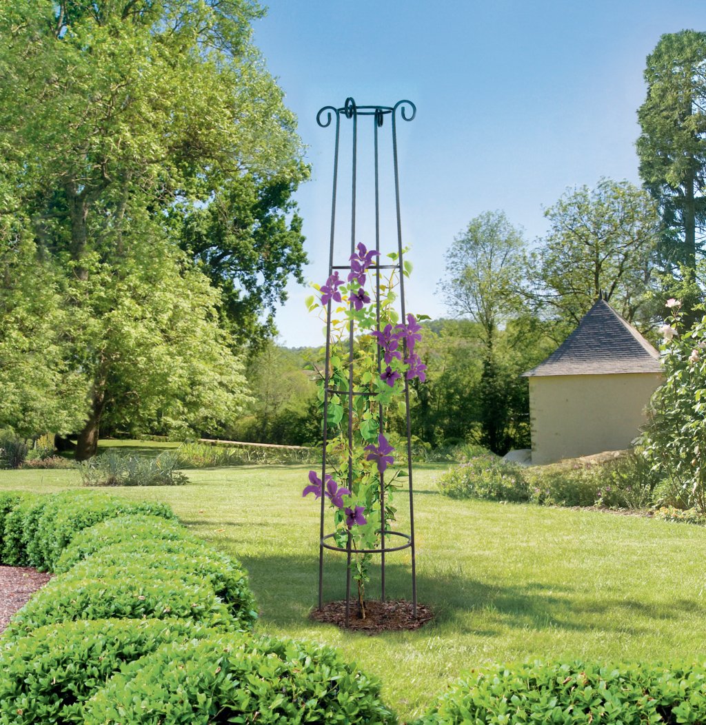 Tuteur colonne metal pour plantes grimpantes 2m