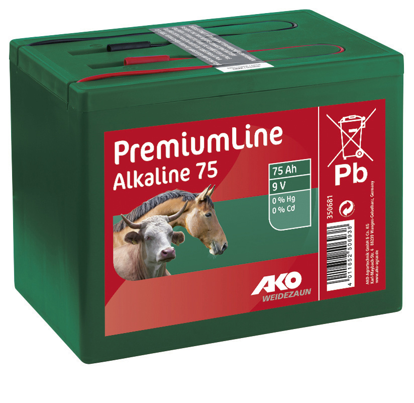 Pile alcaline 9 V 