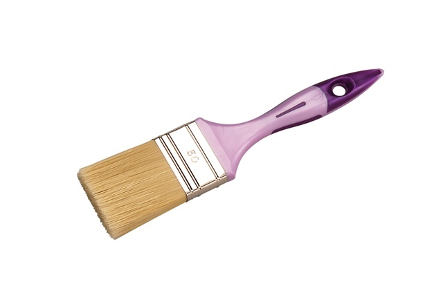 Pinceau bi-matière tte peinture largeur 50 - epais.14