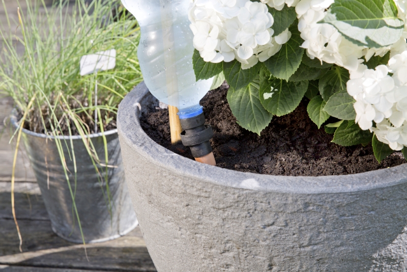 Fontaine à eau automatique bouteille par 3