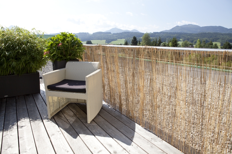 Brise vue canisse paillon pelé 1x5m occ 90%