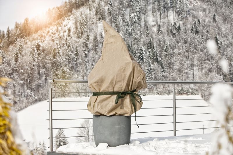 Voile d'hivernage protect 1,5x5m 30g/m²