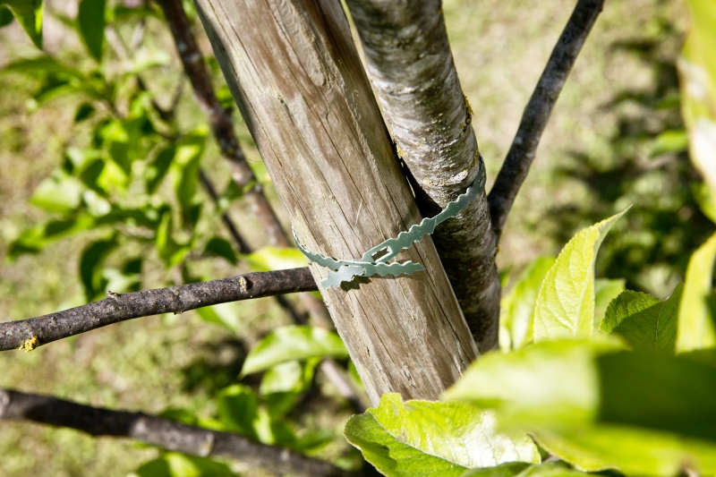 Attaches universelles sans fin 25mx6mm