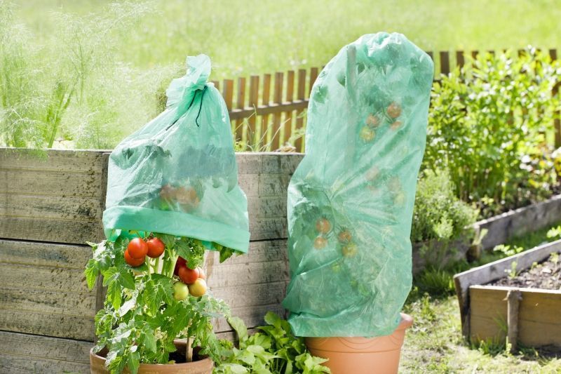 Housse pour tomates en pp vert supergrow 0,65x10m  20g/m²