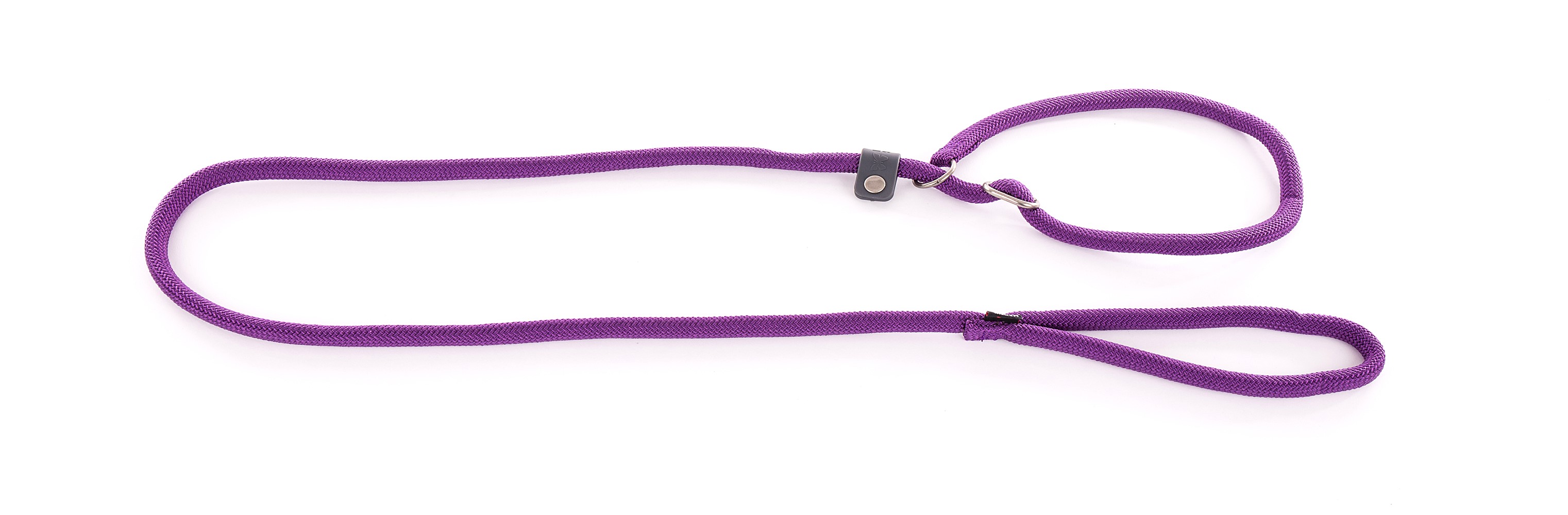 Laisse collier education mauve
