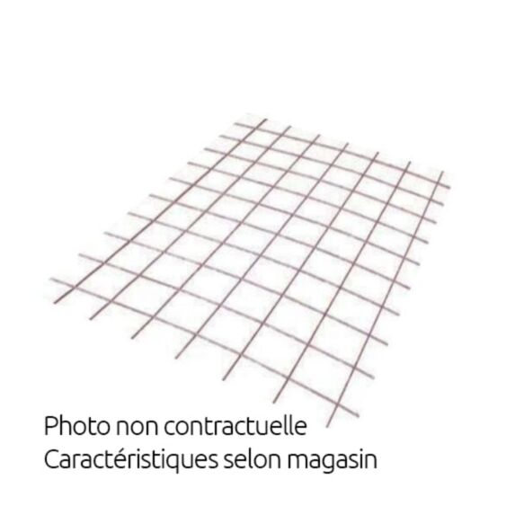 Treillis panneau carleur - 1m x 2m