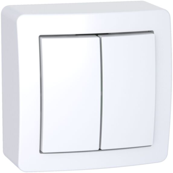 Double interrupteur va-et-vient saillie complet Alréa blanc - SCHNEIDER ELECTRIC