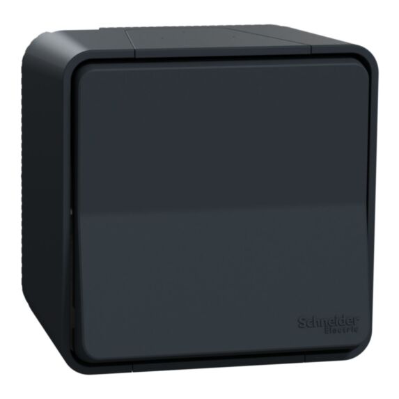 Poussoir étanche saillie complet Mureva Styl anthracite - SCHNEIDER ELECTRIC