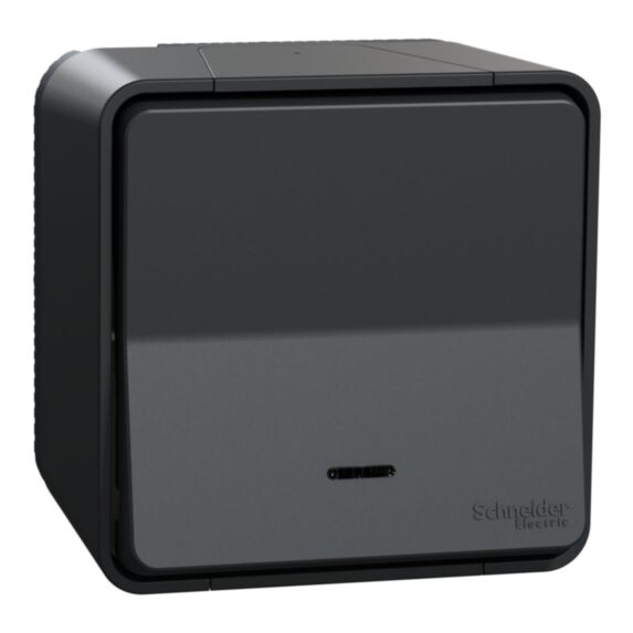Poussoir lumineux étanche saillie Mureva Styl anthracite - SCHNEIDER ELECTRIC
