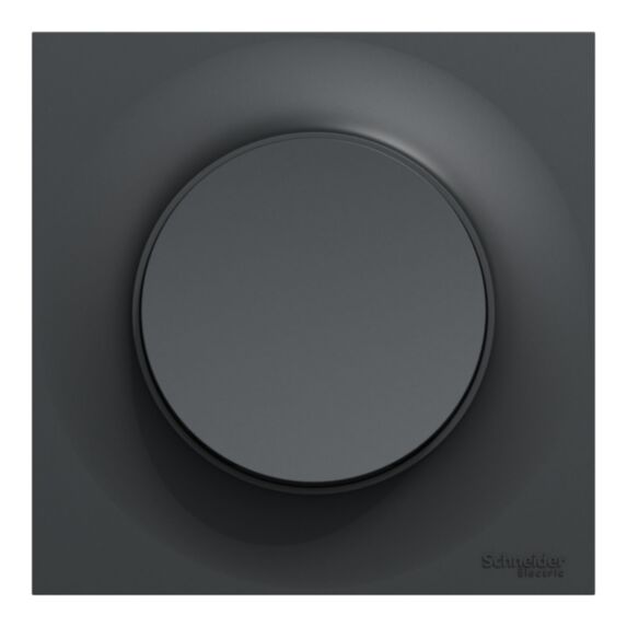 Va-et-vient Odace Styl anthracite - SCHNEIDER ELECTRIC