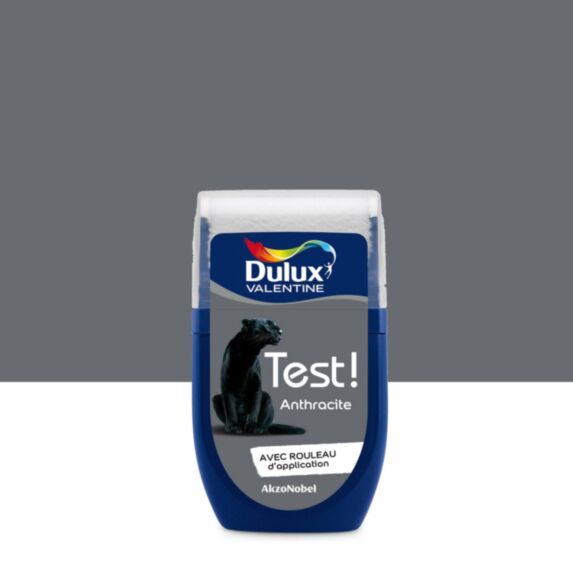 Testeur de Peinture Crème de Couleur Anthracite 30ml - DULUX VALENTINE