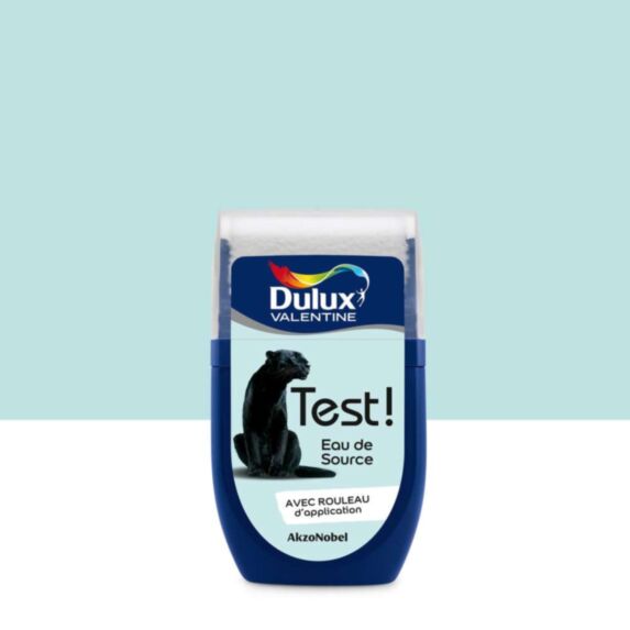 Testeur de couleur Test! satin Eau de Source 30ml - DULUX VALENTINE