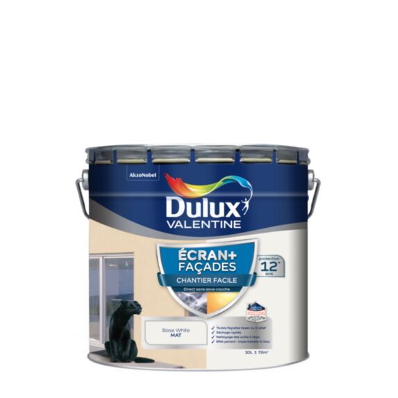 Peinture Ecran+ Façades Chantier Facile Dulux Valentine Mat Blanc BW 10 L