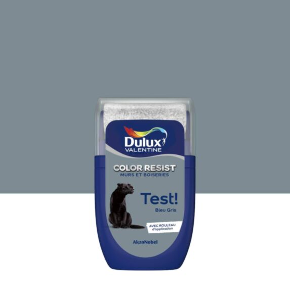 Testeur de Peinture Color Resist Bleu Gris Mat 30ml - DULUX VALENTINE