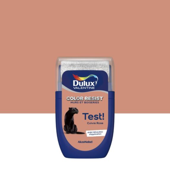 Testeur de Peinture Color Resist Cuivre Rose Mat 30ml - DULUX VALENTINE