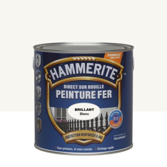 Peinture fer rouille 2,5l blanc