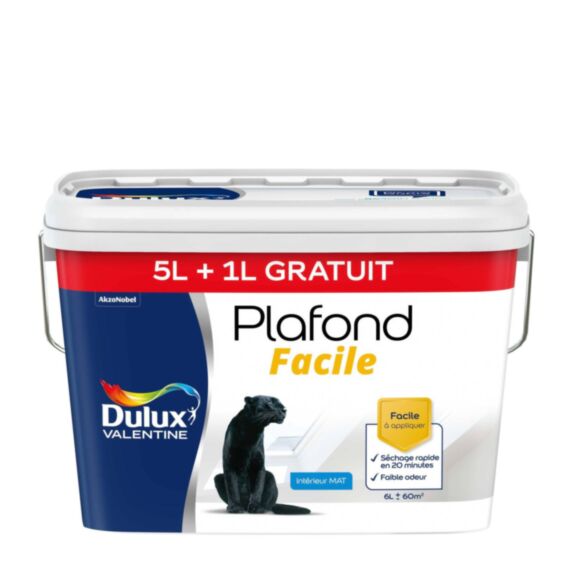 Peinture intérieure Plafond Facile Blanc Mat 5L + 1 L - DULUX VALENTINE
