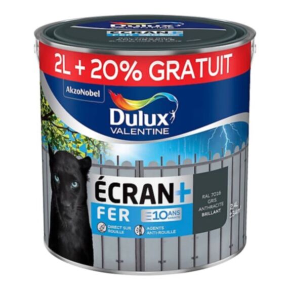 Peinture fer écran+ 2 l anthracite
+ 20% offerts