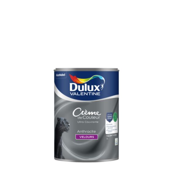 Peinture Crème de Couleur Biosourcé velours Anthracite 1L - DULUX VALENTINE