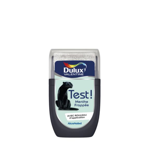 Testeur de peinture Crème de Couleur Menthe frappée 30ml - DULUX VALENTINE