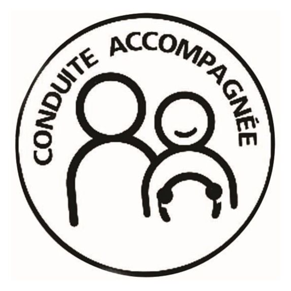 Disque électrostatique conduite accompagnée - ALTIUM