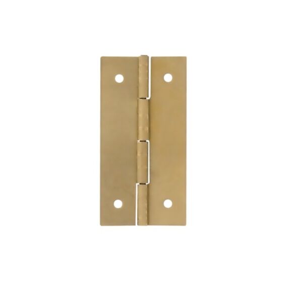 2 charnières de gainerie 250x12mm - VYNEX