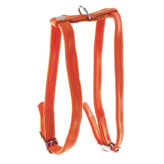 Harnais h nylon 10-35/40cm orange
