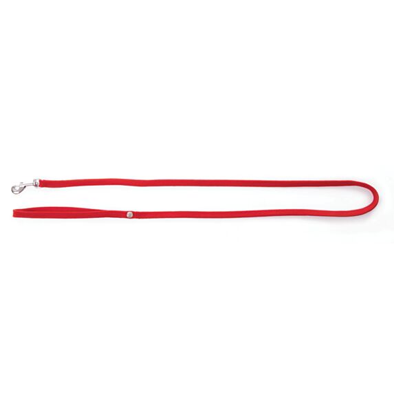 Laisse nylon 10/120 rouge