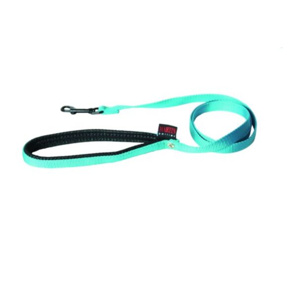 Laisse nylon conf 25-120 turquoise