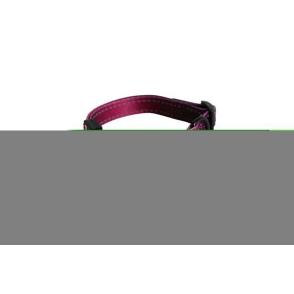 Collier nylon réglable 16/35-45 bordeau