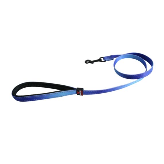 Laisse reflex 16-100 bleu