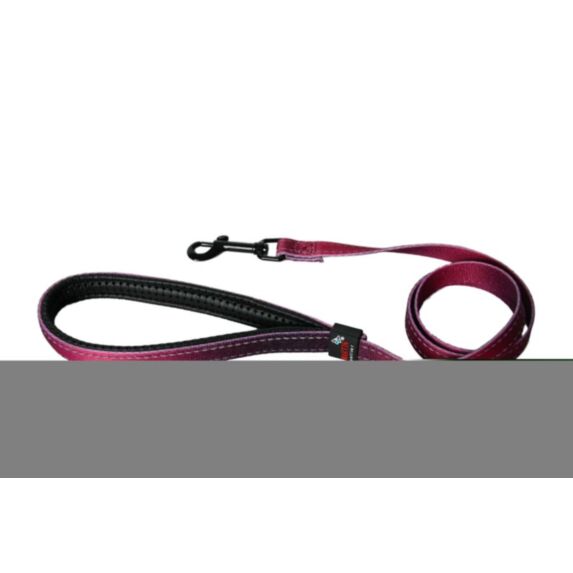 Laisse nylon confort 25/100 bordeau