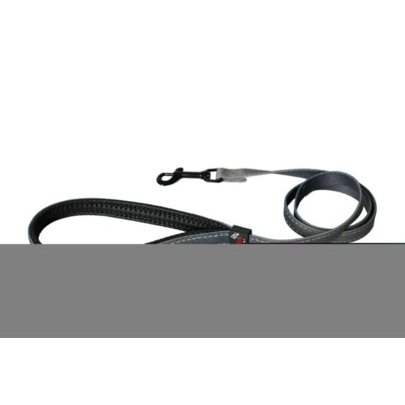 Laisse nylon confort 25/100 gris