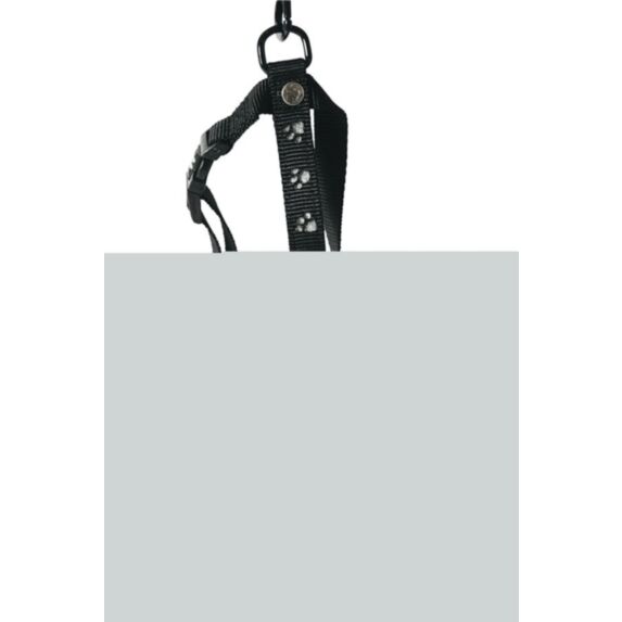 Harnais 16/30-55 noir patt arg