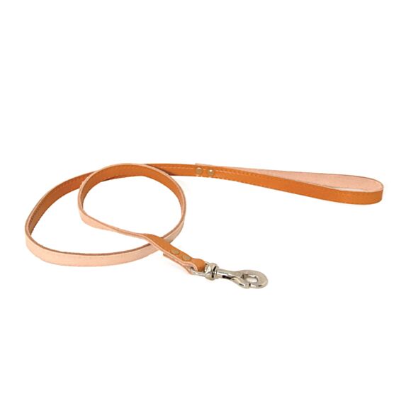 Laisse rive mousqueton carabine beige