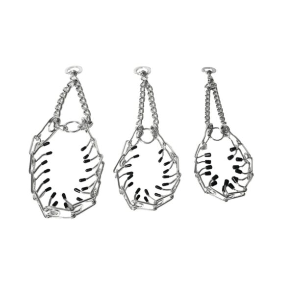 Collier éducation torquatus 53cm