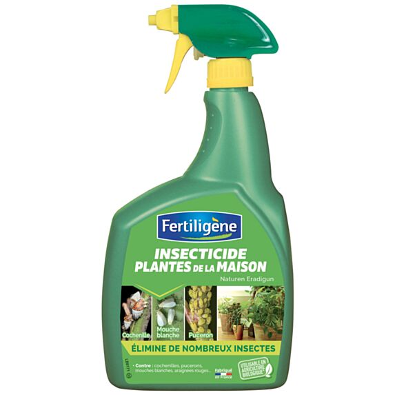 Insecticide pour plantes de la maison
