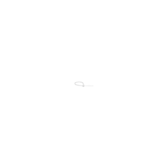 Collier autoblocant 2.5x100 mm incolore sachet de 25
