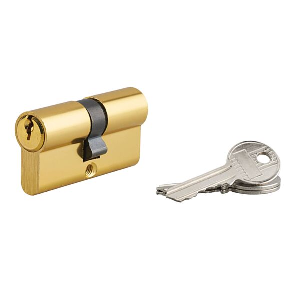 Cylindre de serrure profile doré 30 x 3 mm 3 clés - THIRARD