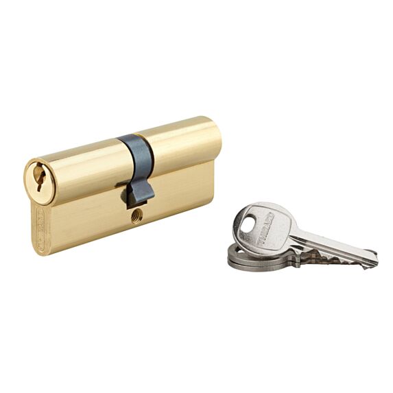 Cylindre 5 goupilles SA 40x40mm 3 clés