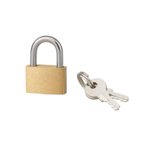 Cadenas + 2 Clés Basic Anse Acier 25mm - 1ER