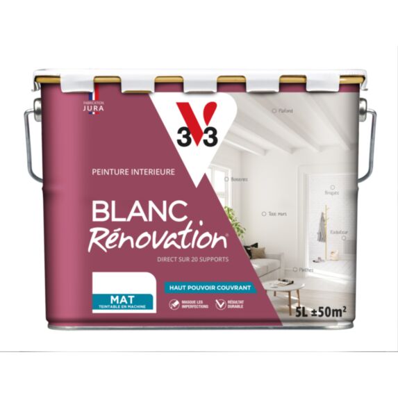 PEINTURE BLANC RENOVATION MAT 5 L