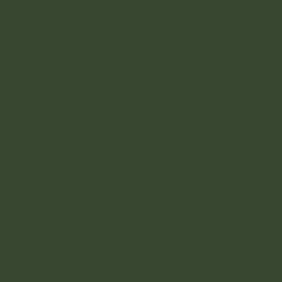 Peinture Colorissim mat  0,5L Vert romarin - V33