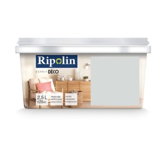 Peinture Esprit Déco multisupport gris souris 2,5L - RIPOLIN