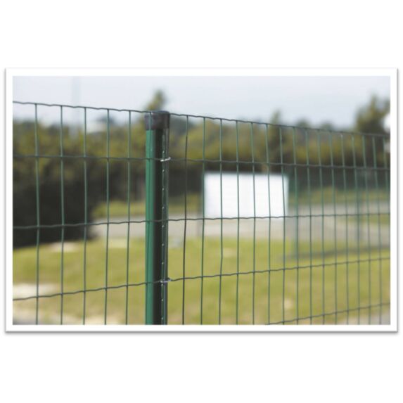 Grillage en Rouleau Soudé Vert Axial Super 250 25x2m - DIRICKX